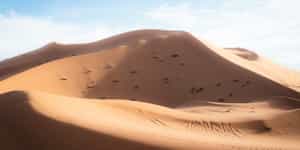 Algeria